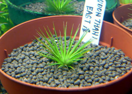 P1010217.JPG