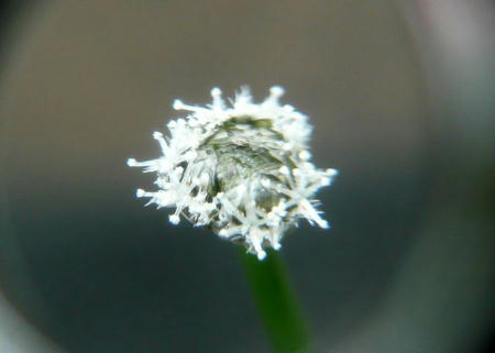 P1000002.JPG