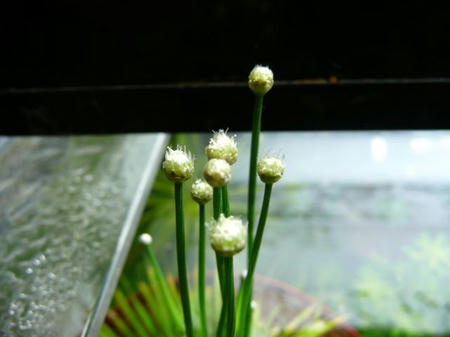 P1000096.JPG