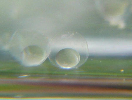P1000840.JPG