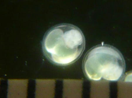 P1010241.JPG