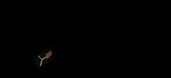 09090404.png