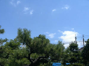 P1040054.jpg