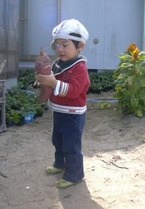 P1050096.jpg