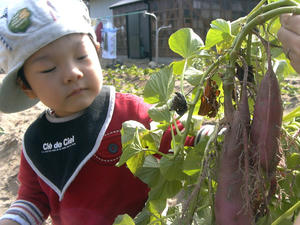 P1050095.jpg
