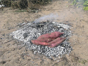 P1050098.jpg