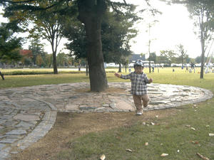 P1050233.jpg
