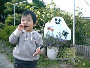 P1050255.jpg