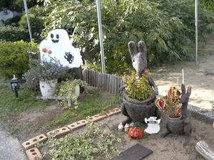 P1050257.jpg