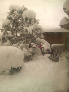 大雪