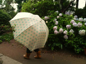 梅雨明け