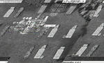 screeniris195.jpg