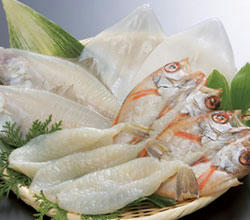 夏季限定セット「おおしお」送料無料！和田珍味の人気一夜干を集めました。