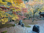 DSC00126_copy.jpg