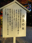 DSC00130_copy.jpg