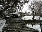 DSC00164_copy.jpg