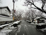 DSC00166_copy.jpg