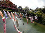 DSC00470_copy.jpg