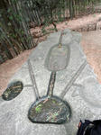 DSC00675_copy.jpg