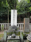 DSC00785_copy.jpg