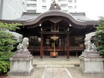 DSC00787_copy.jpg