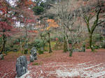 DSC01305_copy.jpg