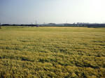 DSC01701_copy.jpg