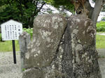 DSC01828_copy.jpg