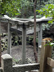 DSC01940_copy.jpg