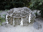 DSC01999_copy.jpg