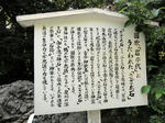 DSC01998_copy.jpg