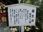 DSC02001_copy.jpg