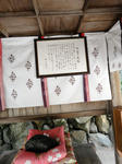 DSC02345_copy.jpg