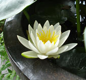DSC01448.jpg