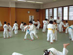 DSCF0049.JPG