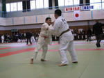 bf03204fjpeg