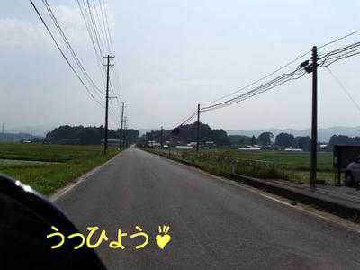 c94629c5.jpg