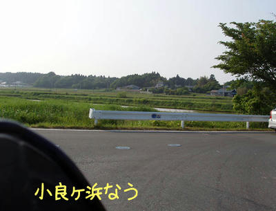 65d1bcac.jpg
