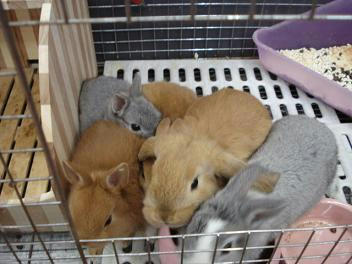 DSC00130.JPG