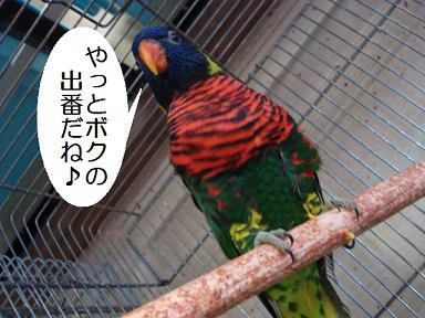 DSC00487.JPG