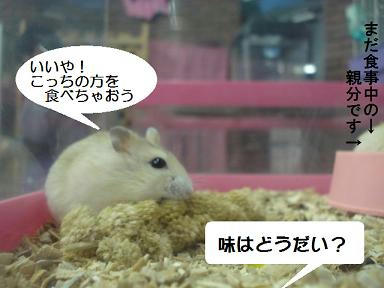 DSC00802.JPG