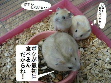 DSC00804.JPG
