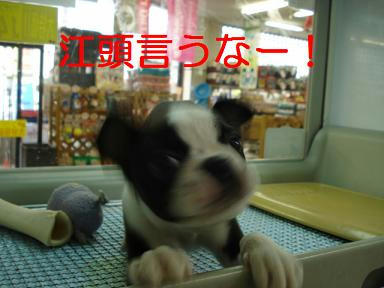 DSC00906.JPG