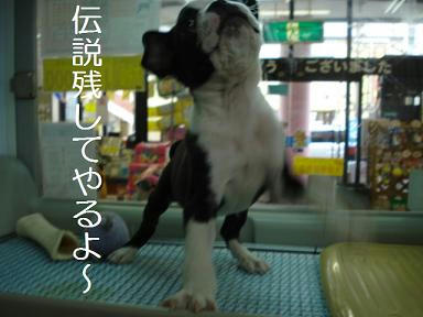 DSC00917.JPG