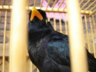 DSC01103.JPG
