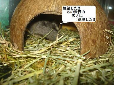 DSC01144.JPG