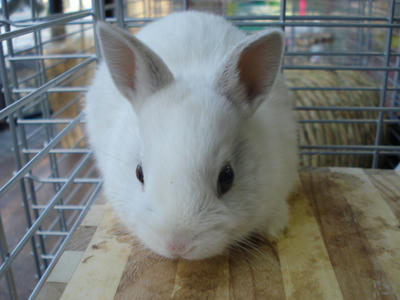 DSC01275.JPG