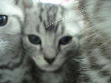DSC01414.JPG