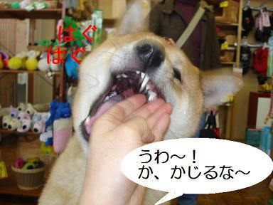 DSC01566.JPG