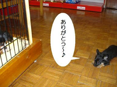 DSC01742.JPG
